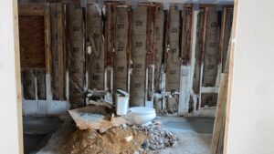 luxury-parents-unit-houston-before-17