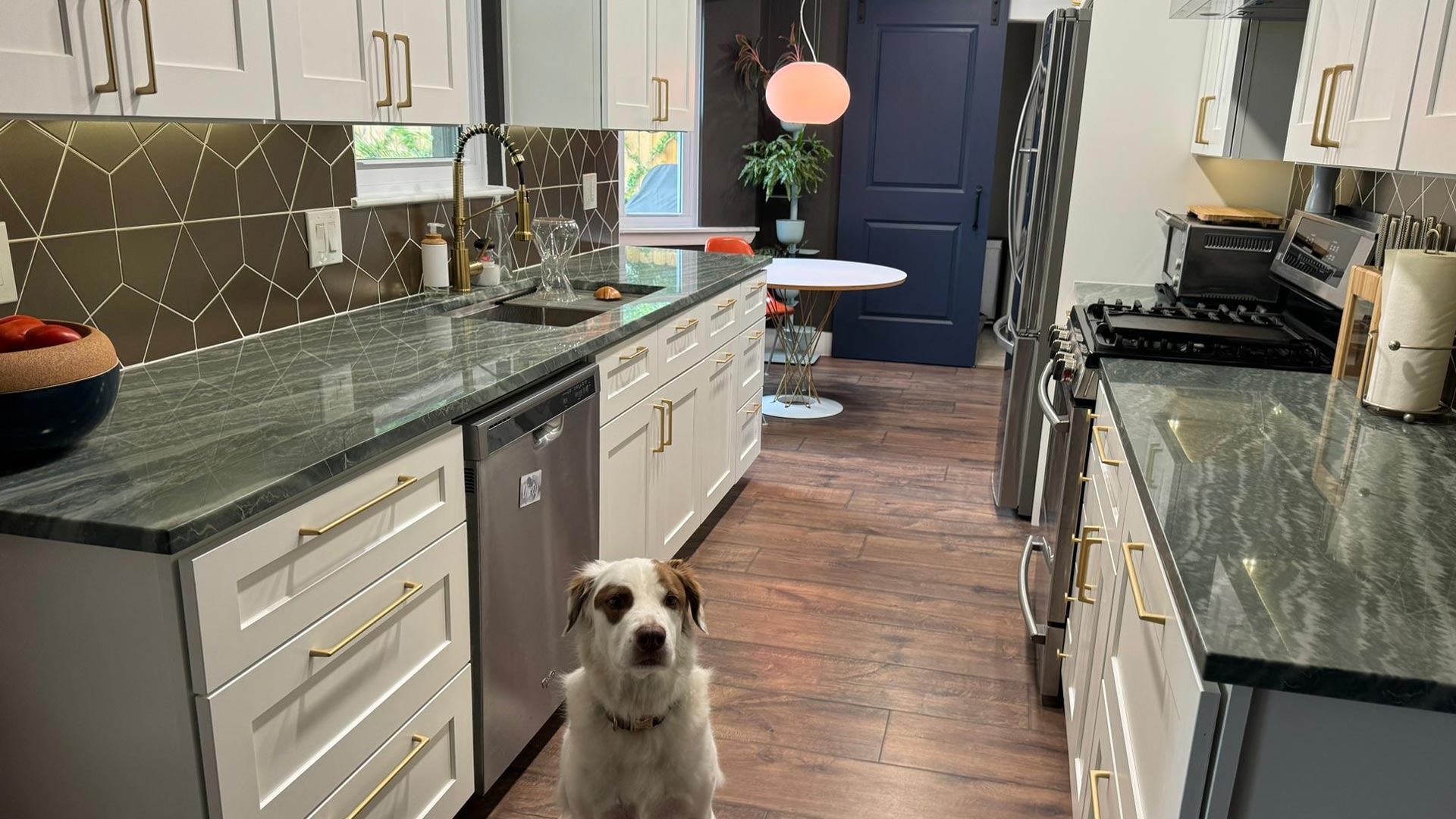 Family dog sitting in a newly remodeled galley kitchen with green stone countertops in Houston