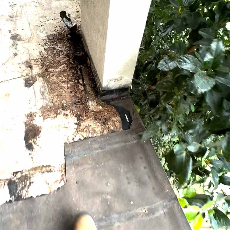 Deteriorated decking and debris at a balcony column base viewed from above in Seabrook, TX