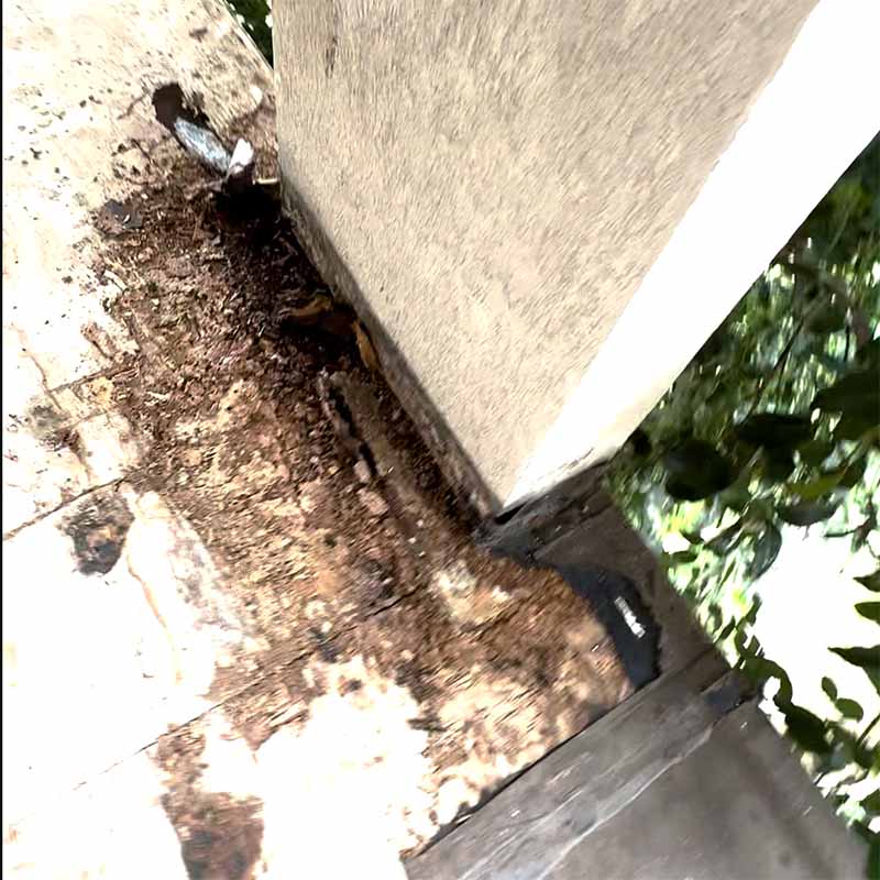 water damage repair pearland tx